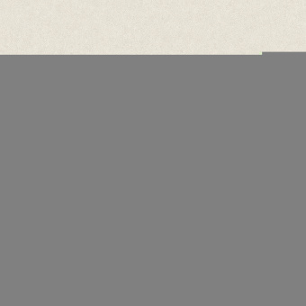 Обои Borastapeter Borosan Bas